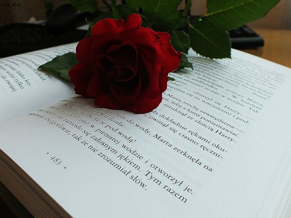 06.