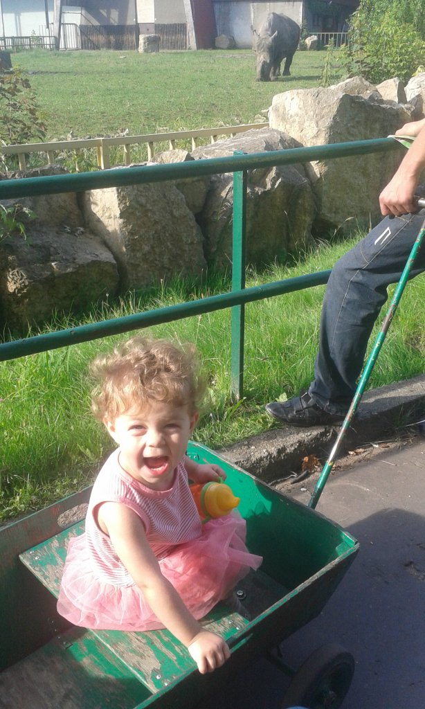 Zoo:)