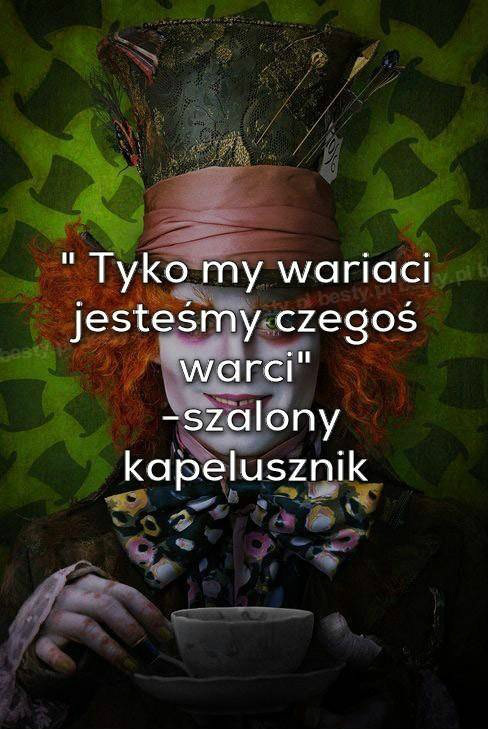 Cytaty.