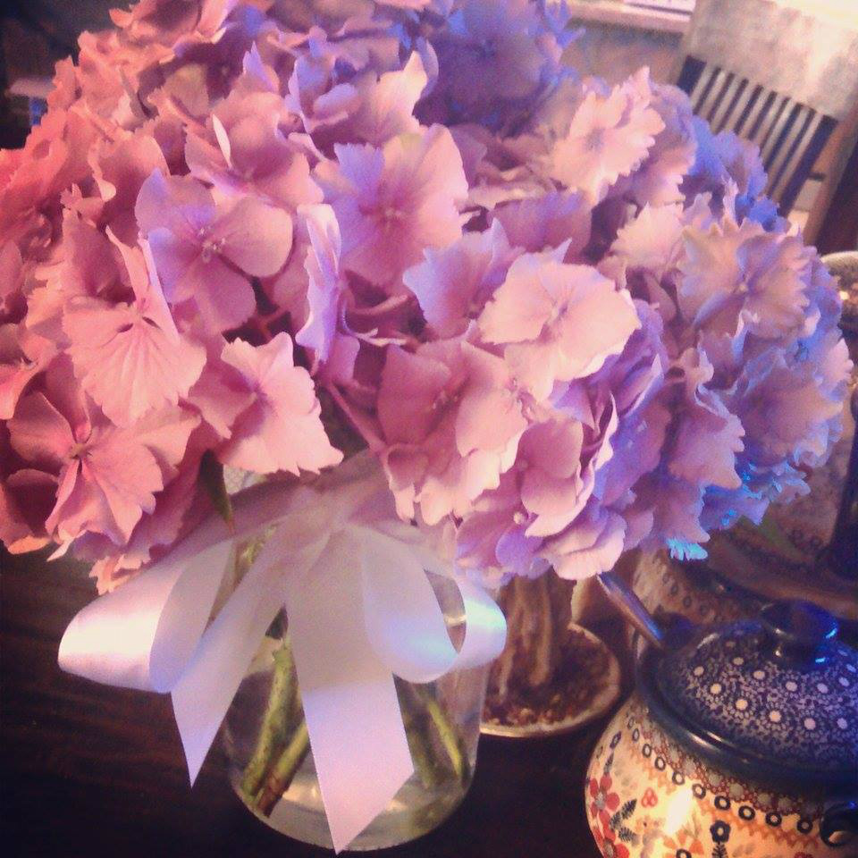 HYDRANGEAS