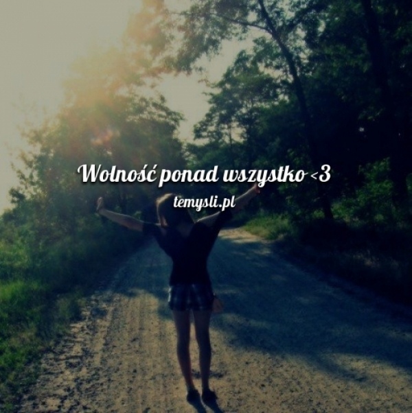 wolnoc ponad wszystko 
