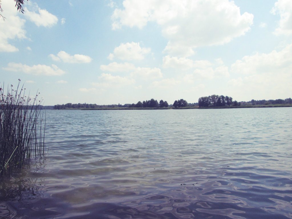 Kiekrz.