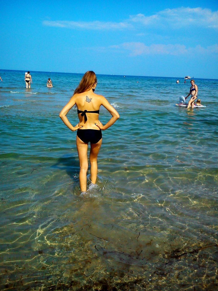 morzee.