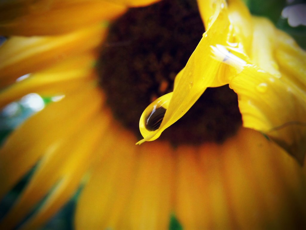 Macro.