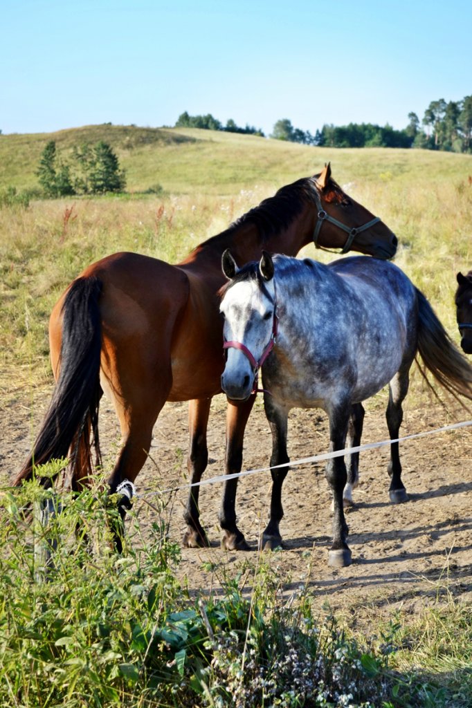 Aksel i Temidka :)