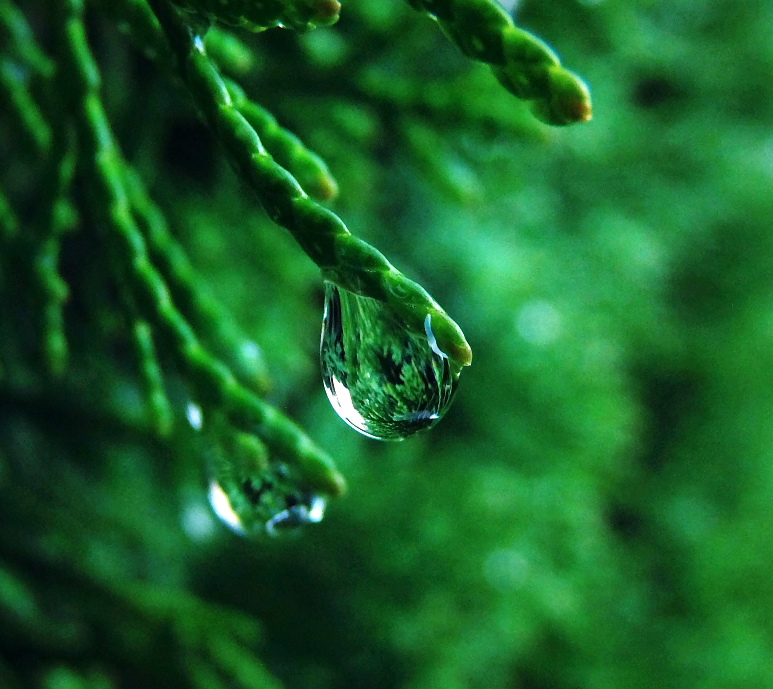 Drop.
