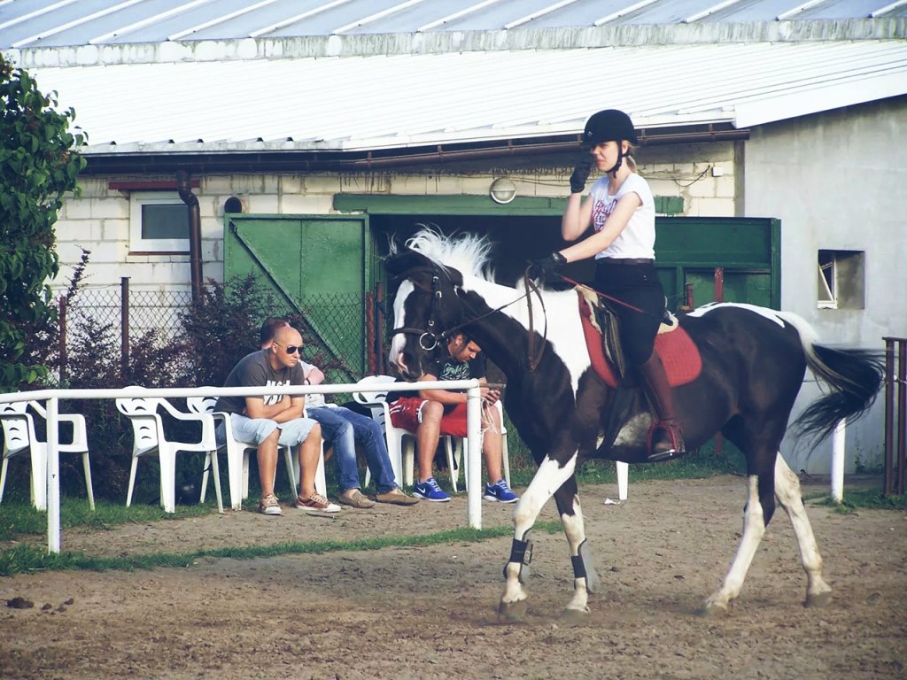 #43