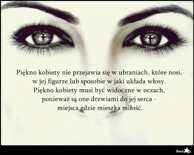 Nic doda nic uj 