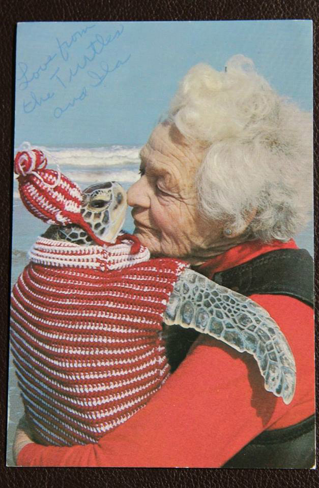 turtle love !