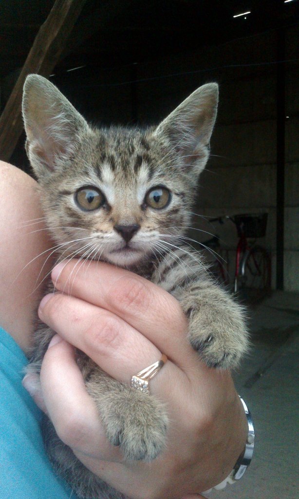 250. Gustaw :p