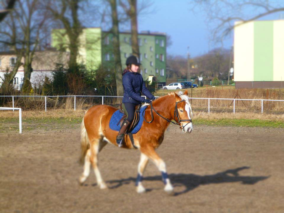 Borys