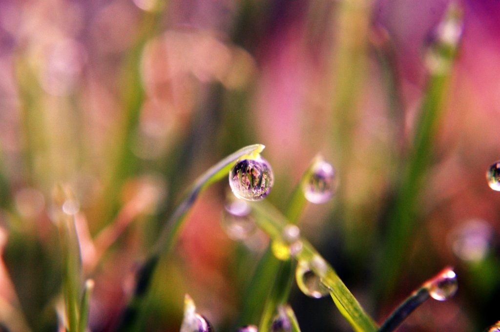 drop 