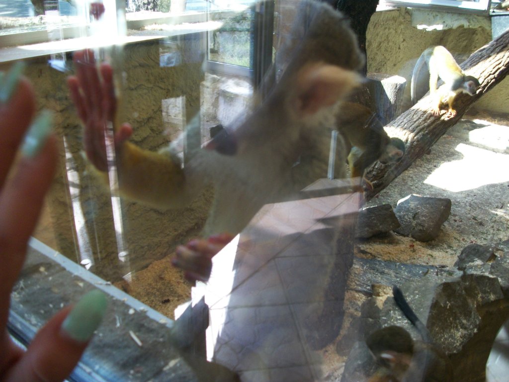 zoo;p