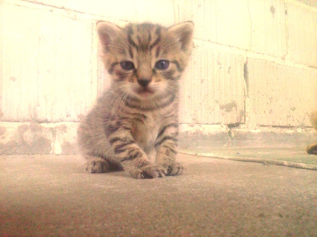 Heloo :) 