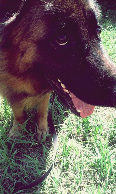 Muuuuuuuuua
