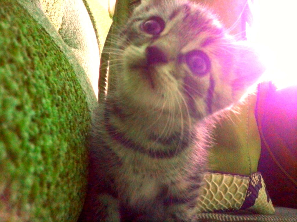 4 tygodnie :) 