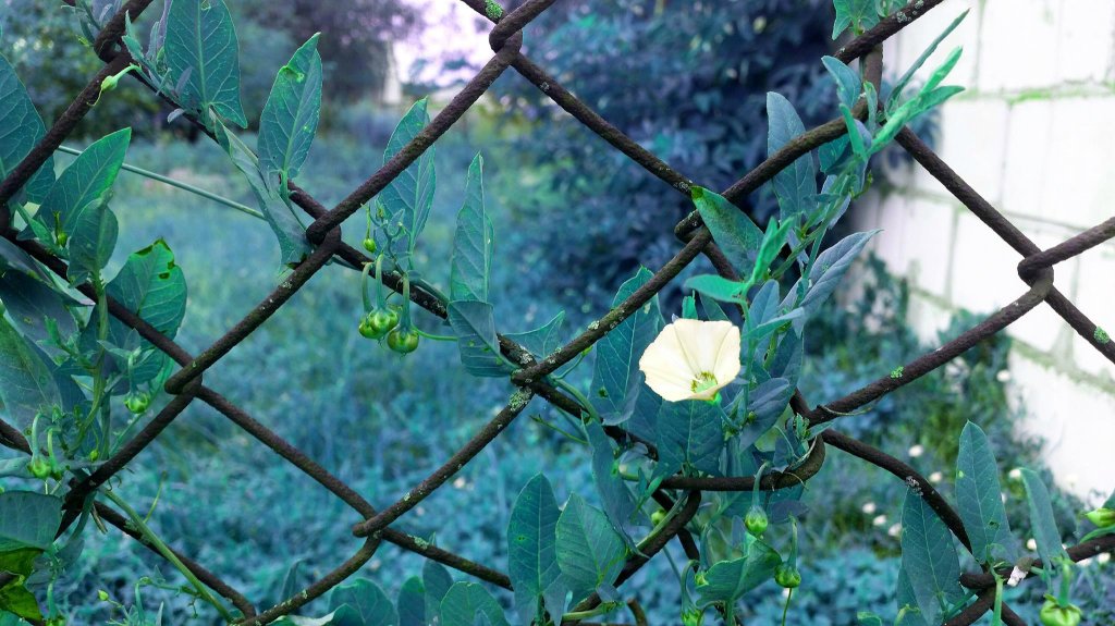 #photobyKlaudia
