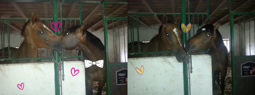 love is in the air
