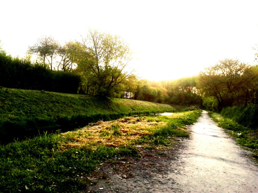 niemwewieszlepiej