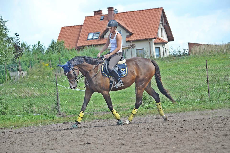 Cygar