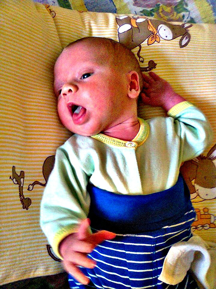 Micha *,*