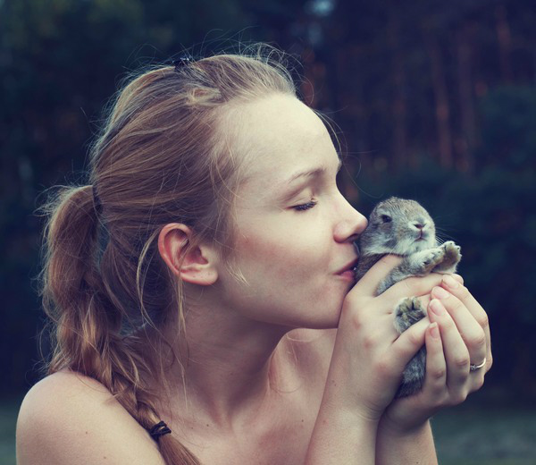 Sweet bunny.