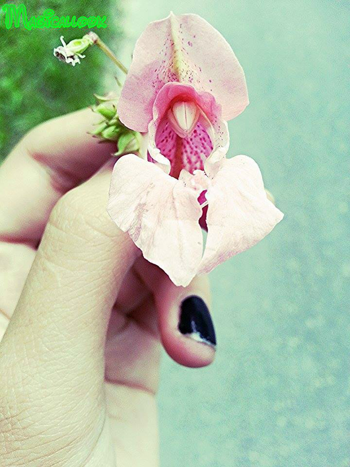 < 33
