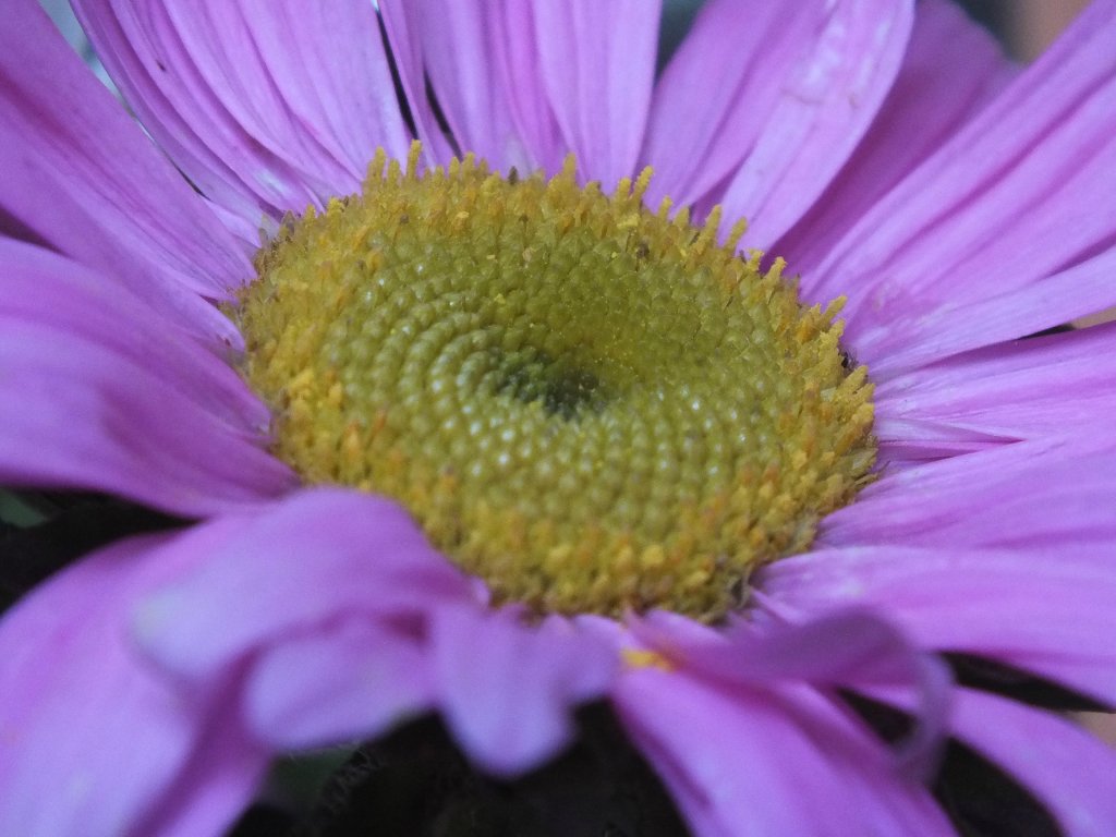 5. 