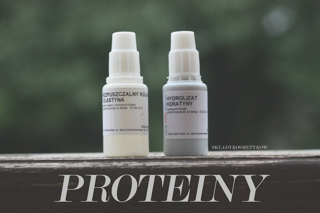 PROTEINY