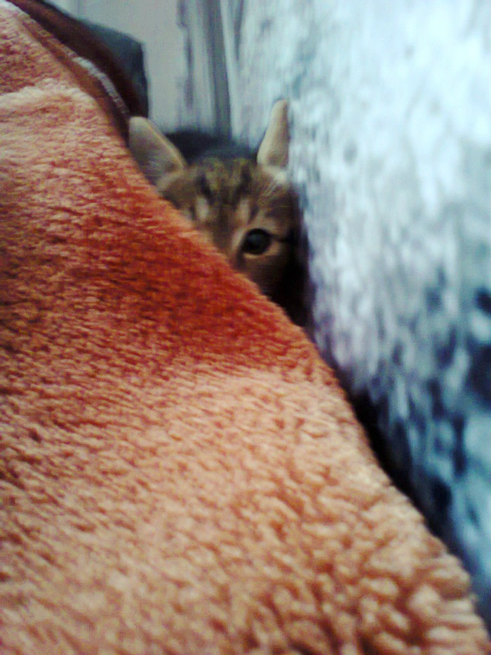 Alex &#9829;