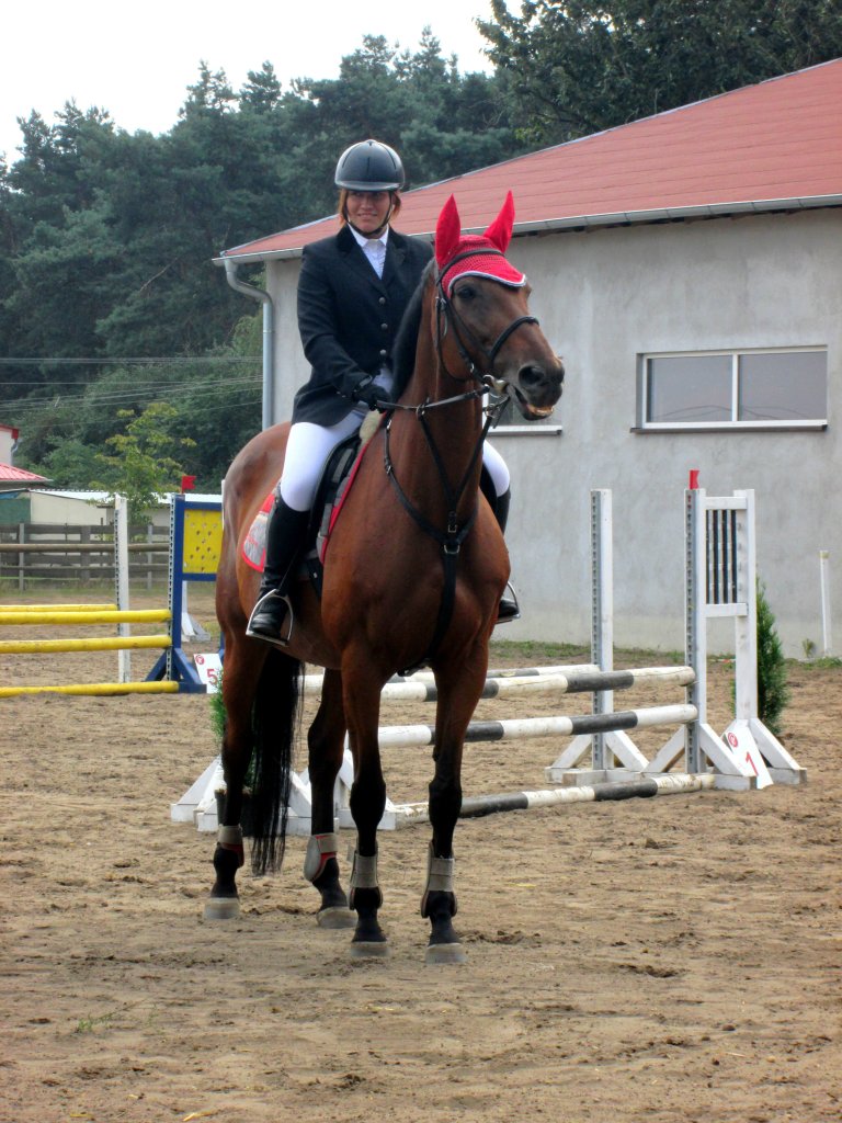 Olgida - Zawody 
