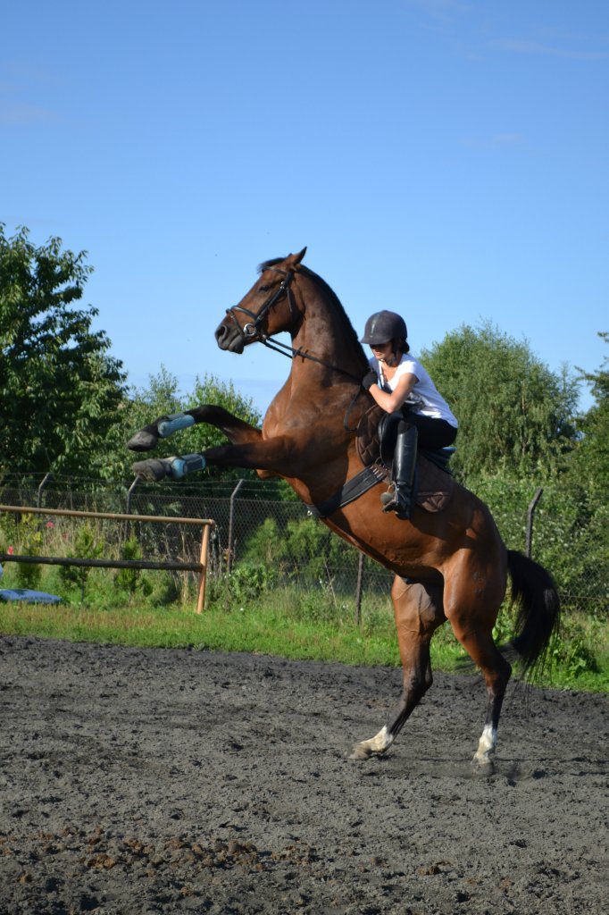 Aga i Cezar