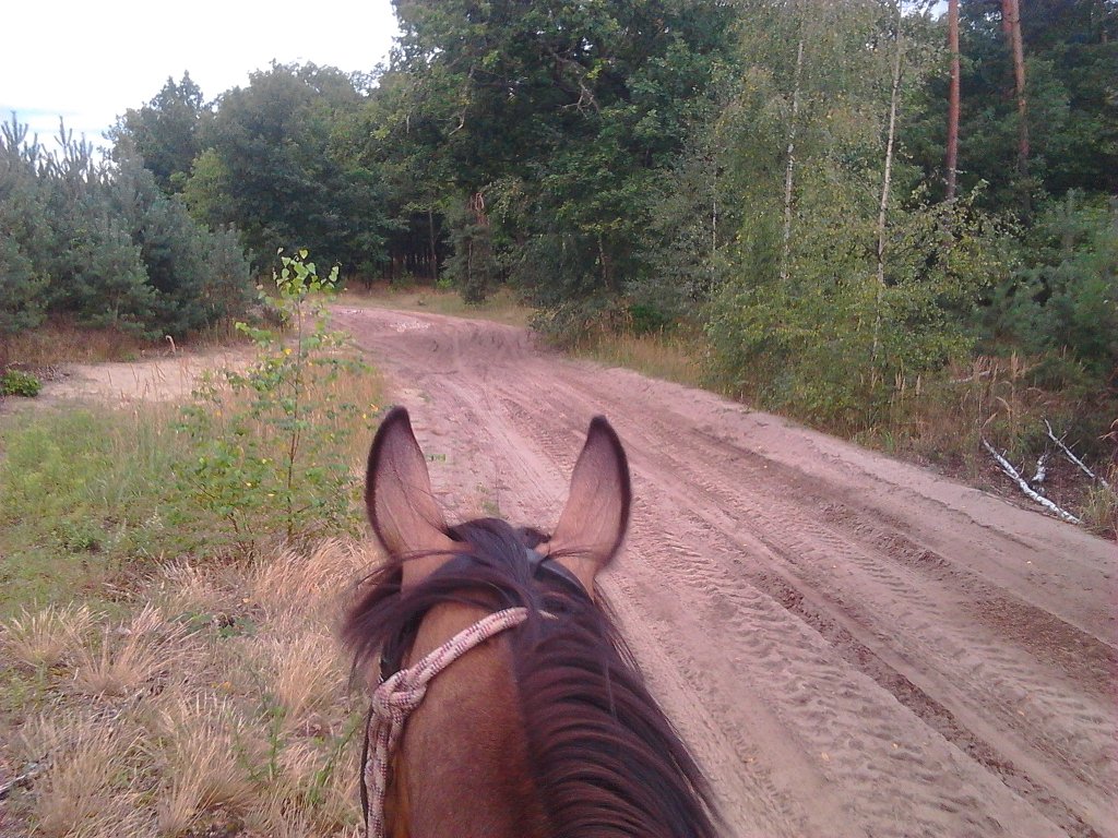 25.08.2014
