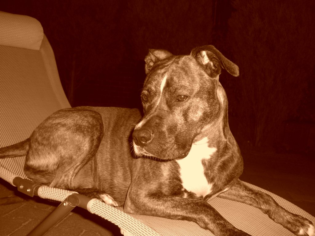 psiuka