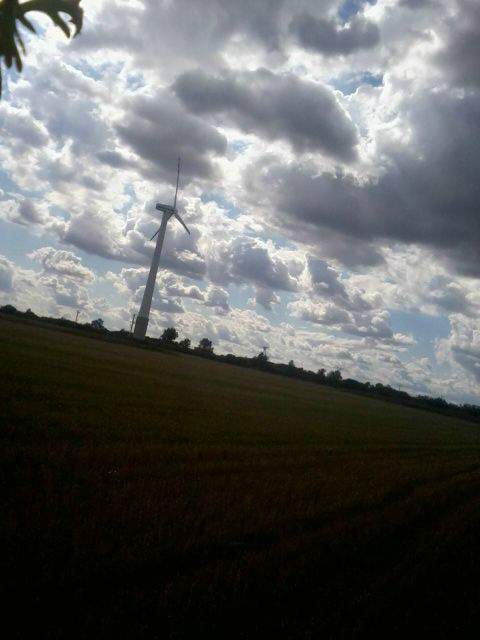 a beautiful world