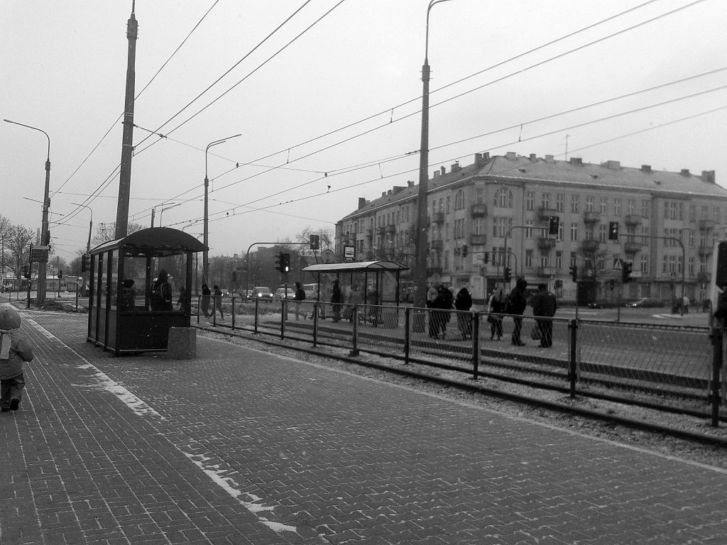 Let me go home.