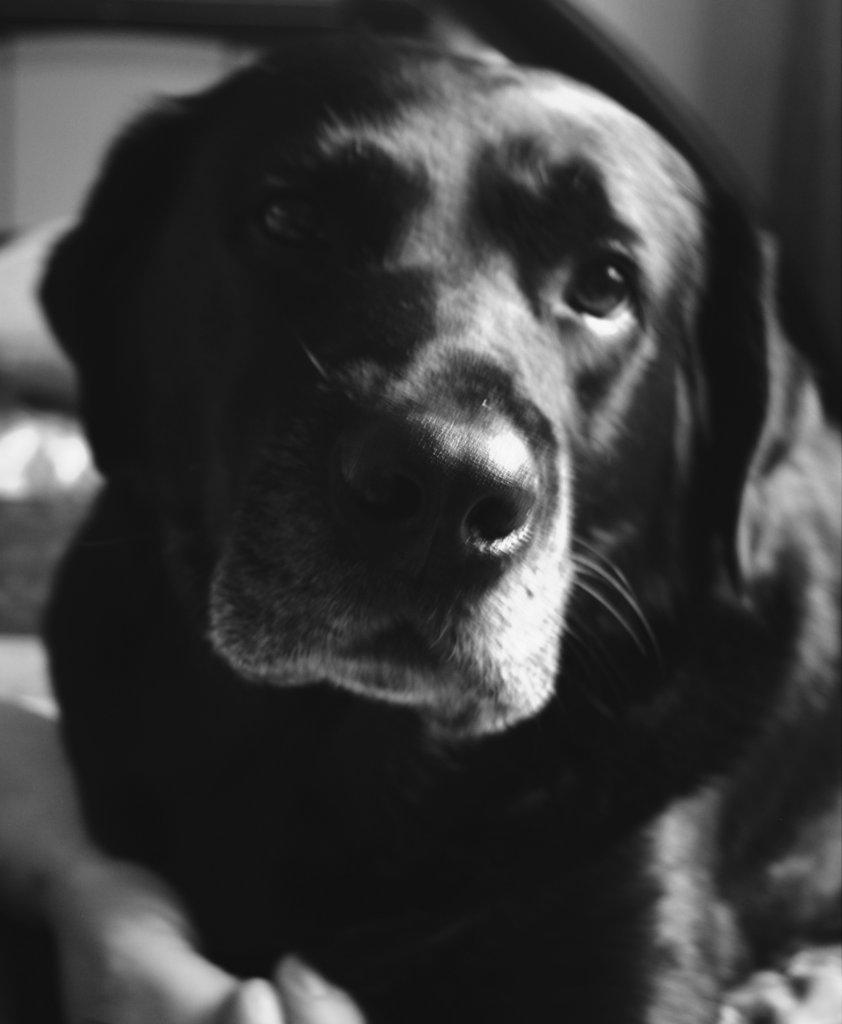 Frodu :* 