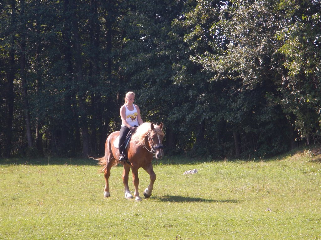 Szeryfek :)