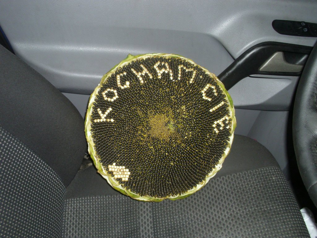 07. 09. 2014
