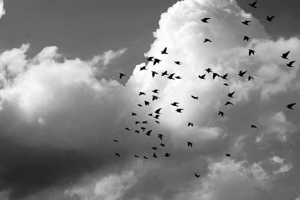 Even sky is not a limit.