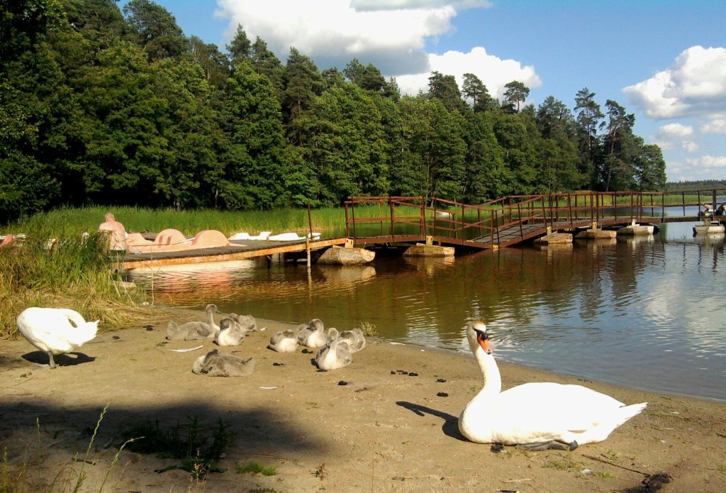 Przebudzenie 