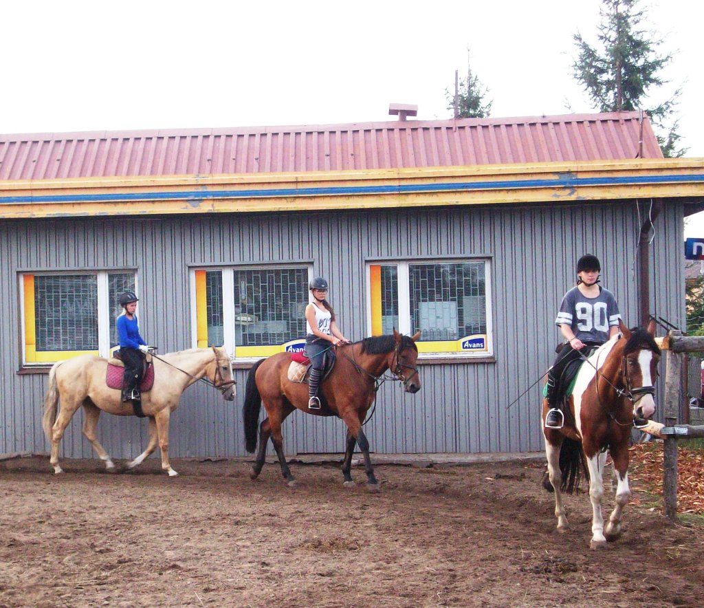 Chopaki w pracy