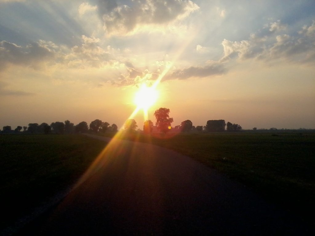 Sunny