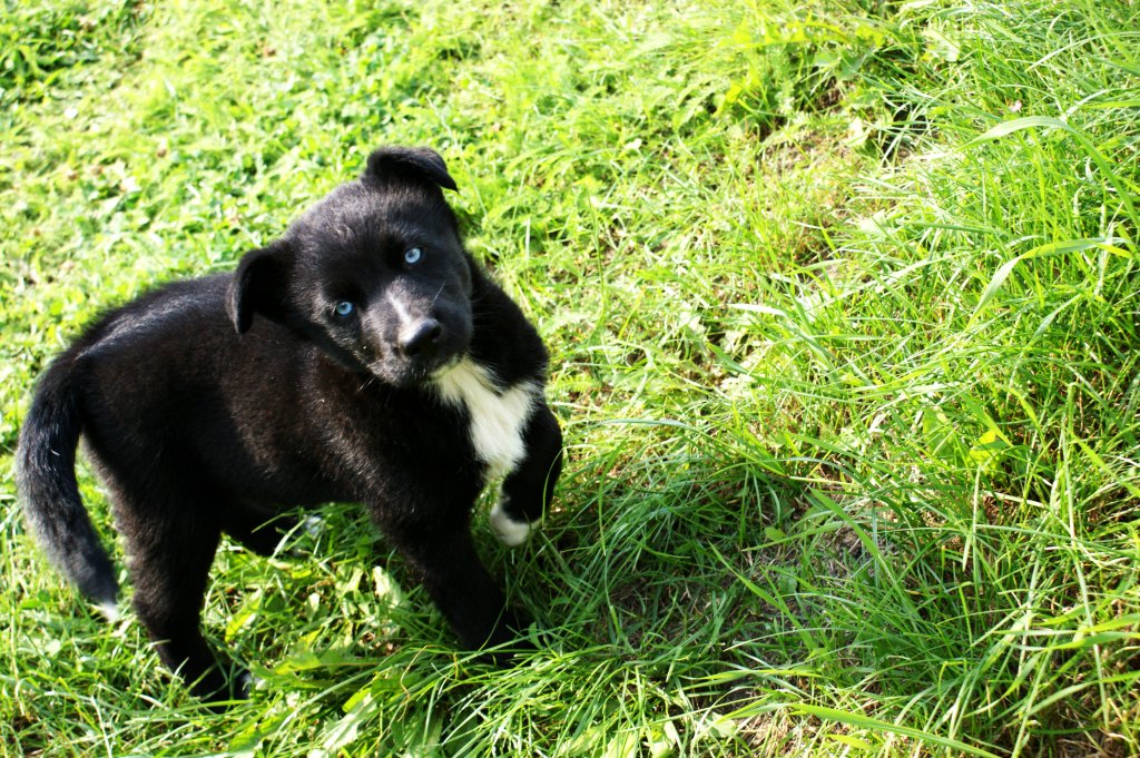 Atos :3