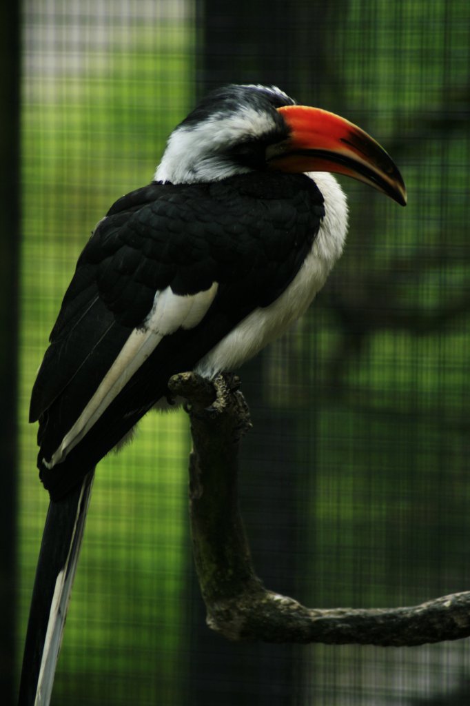 ZOO- Sopot maj 2014
