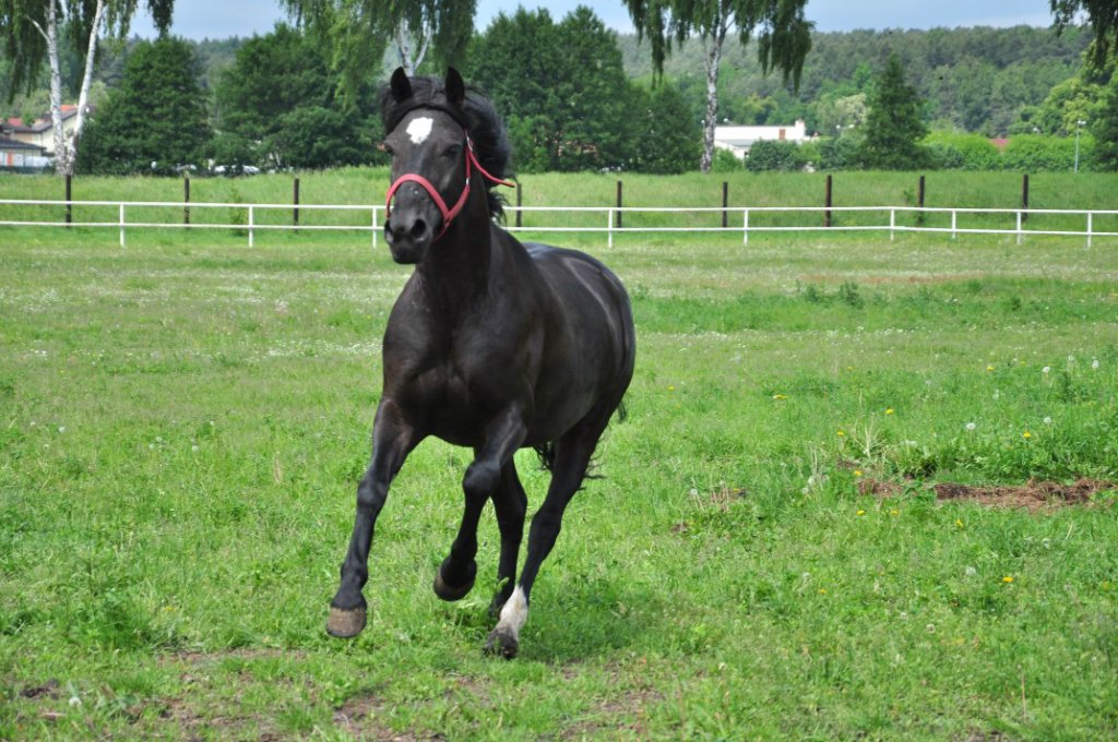 fryzia :)