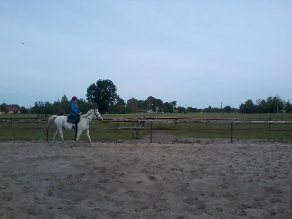 Bastylia