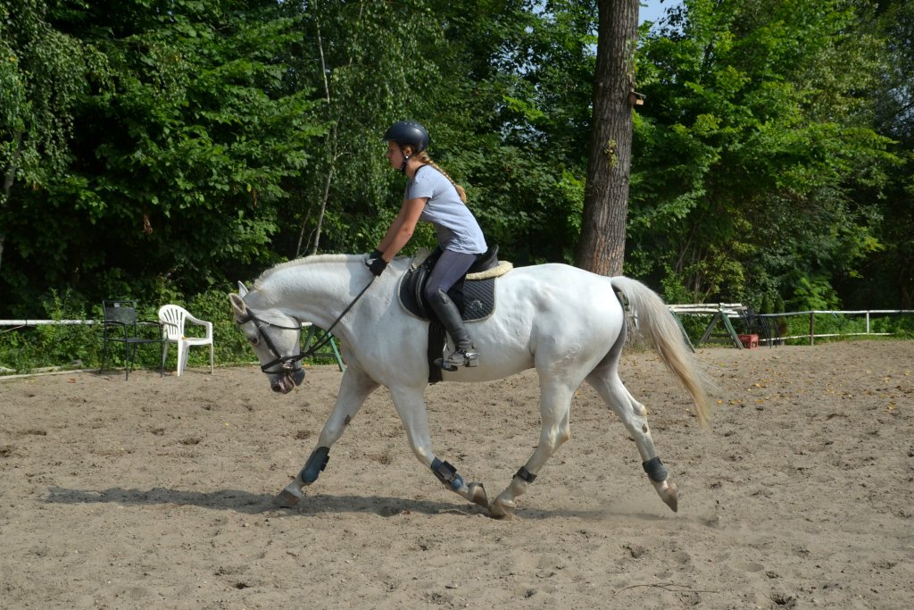 trening 31.07.2014