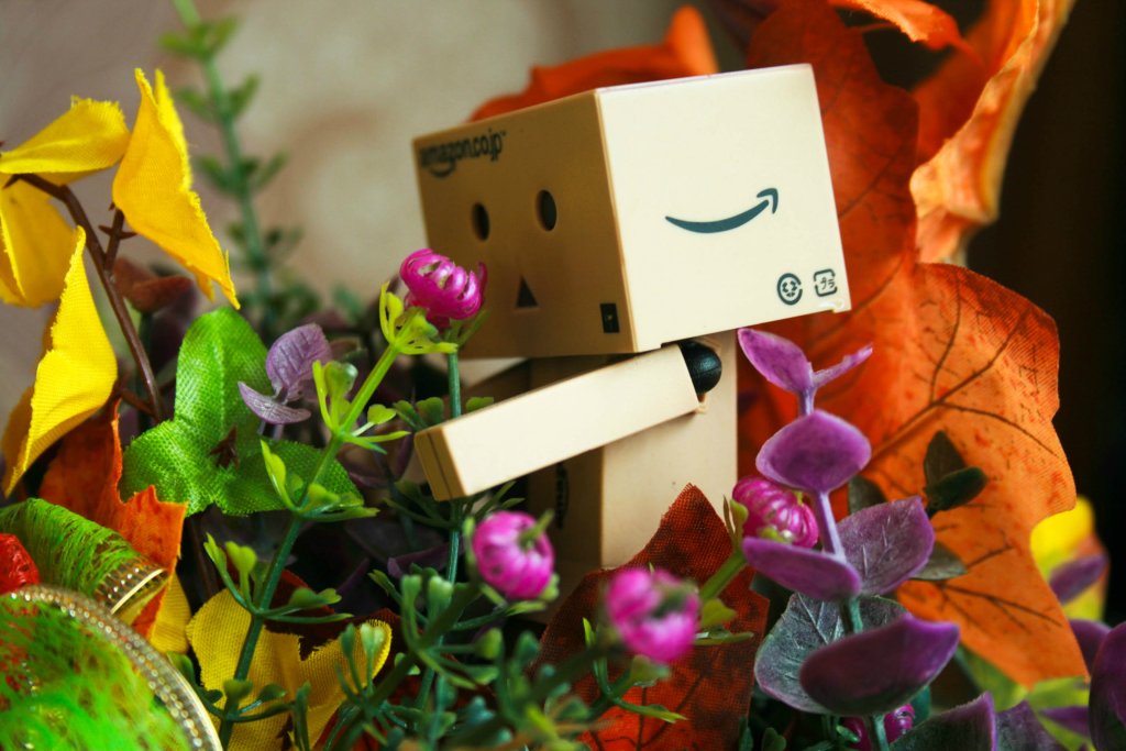 danbo