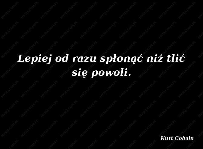 dziennik.